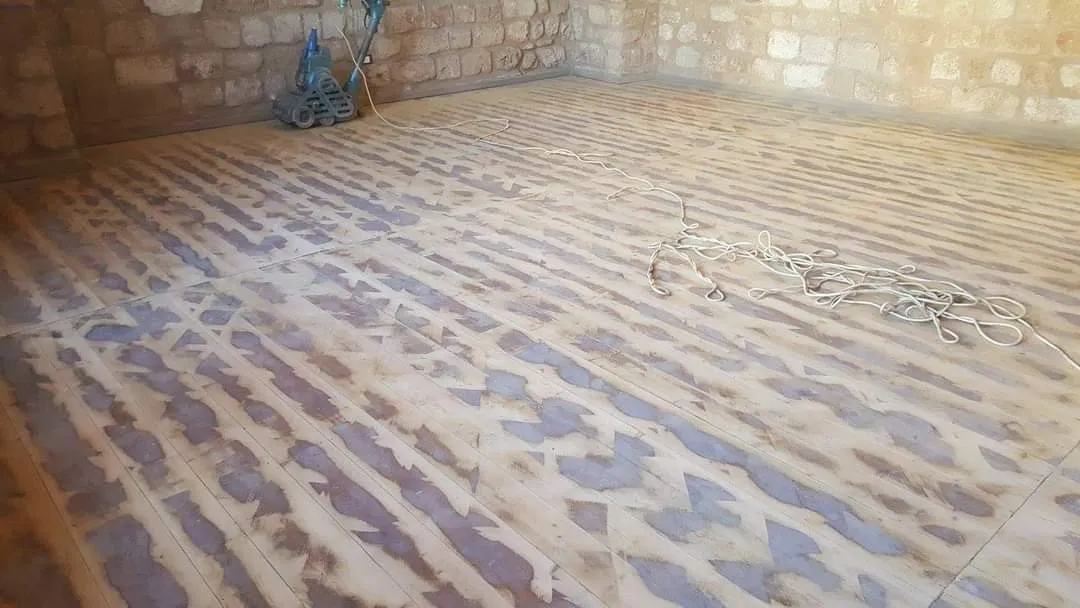 Cedar wood, 400 years old, photo 5